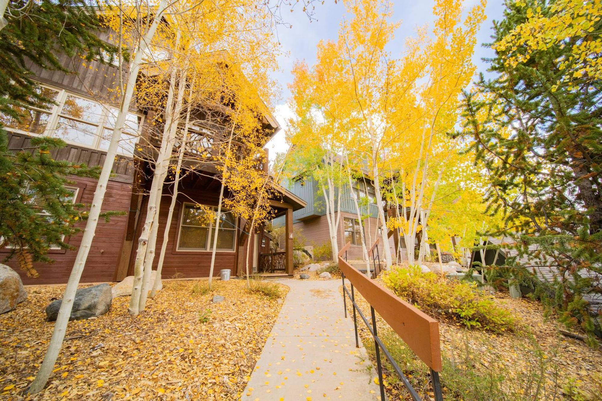 Cabin In The Pines 4 By Summitcove Lodging كيستون المظهر الخارجي الصورة